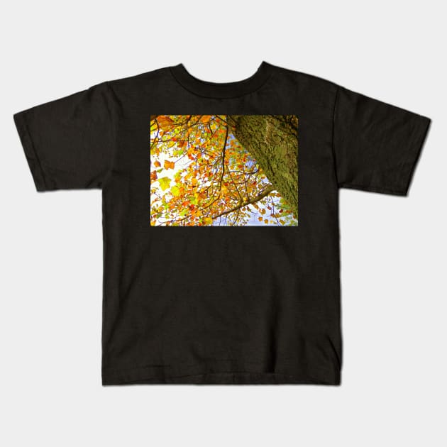 Colorful Fall Tree, Yellow, Gold, Rust Colored Leaves: Photograph Leaves Artful Autumn Kids T-Shirt by tamdevo1